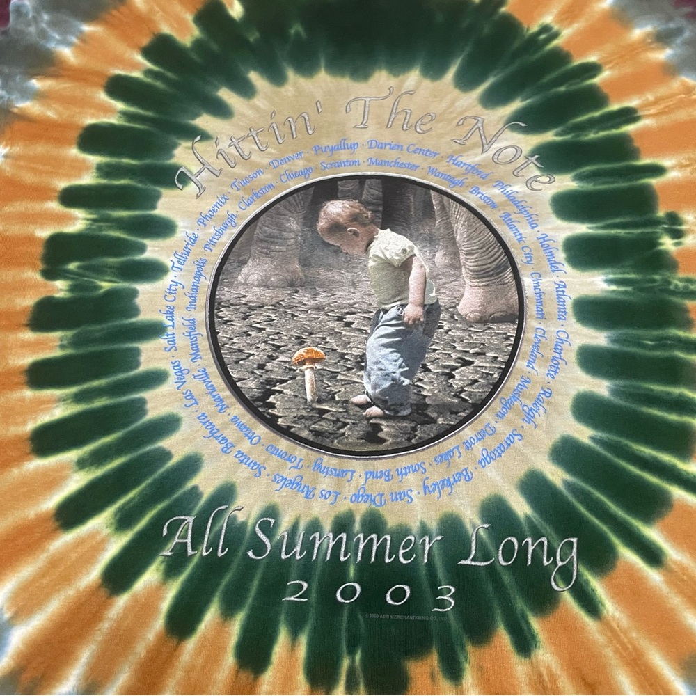2003 The Allman Brothers Band Hittin the Note All Summer Tie Dye T-Shirt Size XL - Picture 4 of 6